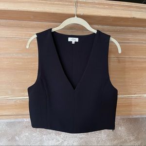 Aritzia Crop Top